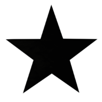 star-woodmaxx-military
