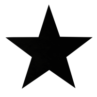 star-woodmaxx-military
