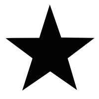 star-woodmaxx-military